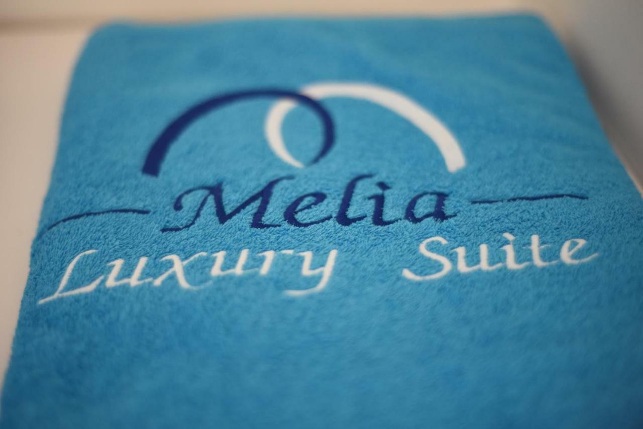 Melia Luxury Suite With Pool Nea Iraklitsa Extérieur photo